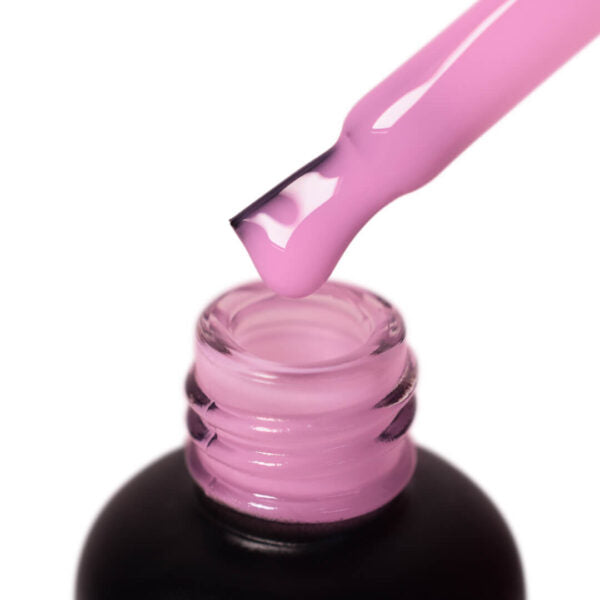 orchi purple