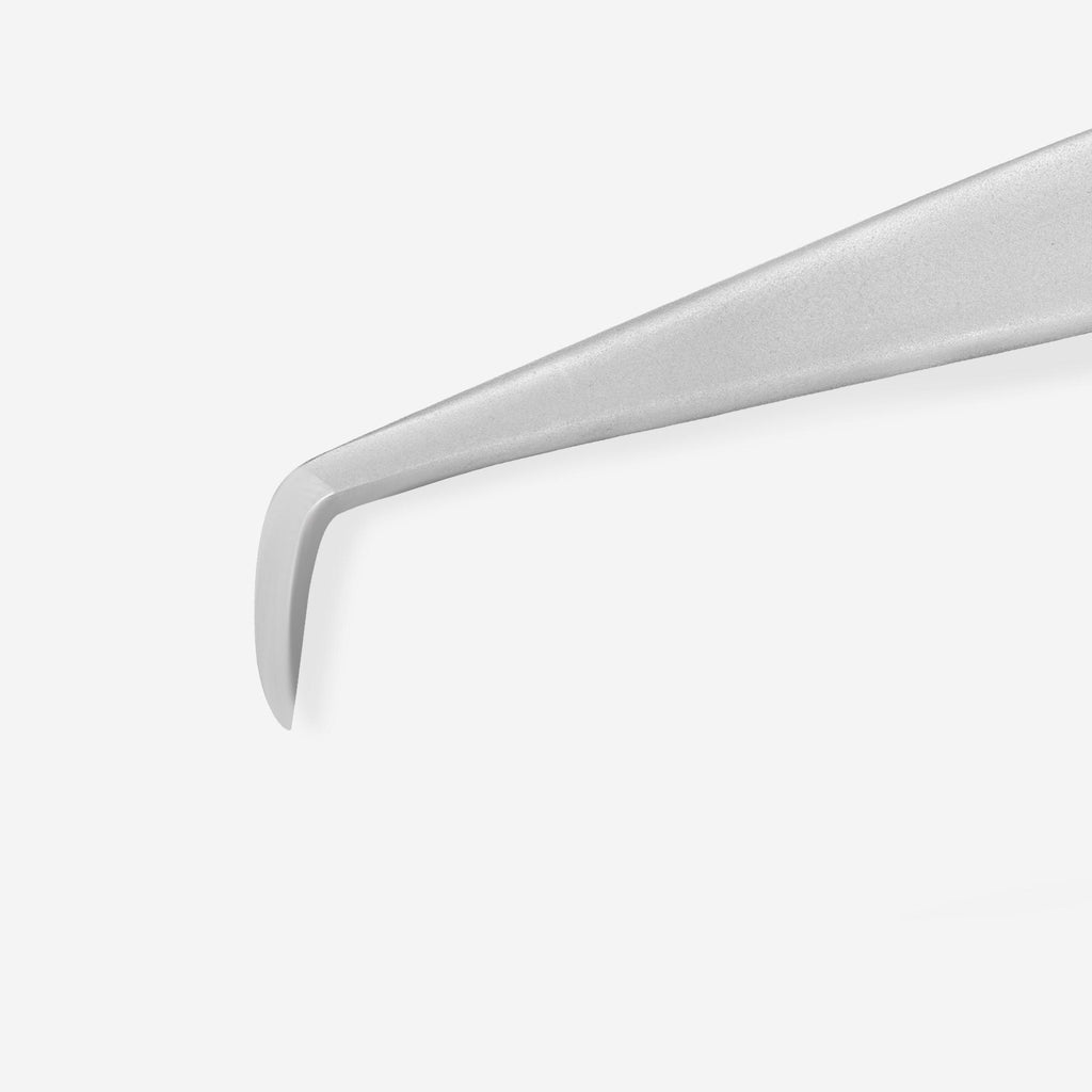 Staleks Pro Expert 10 Type 1 Tweezers For Work with Disposable Files TEDF-10/1