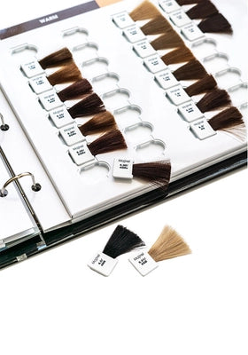 L'Oreal Majirel Large Hair Color Swatch Book